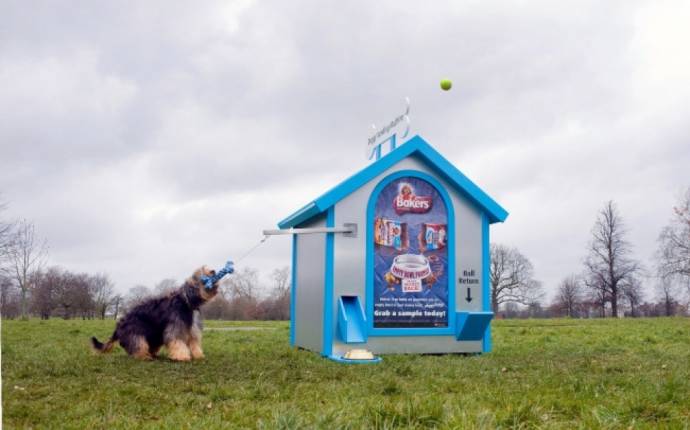 Необычный автомат для собак в парке Клэпхем