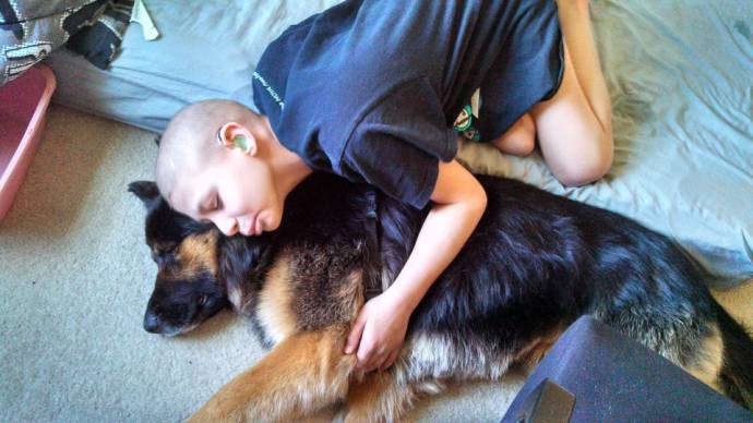 Пес Зоро поддерживает мальчика болеющего раком.