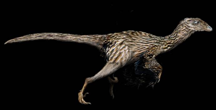 Китайские ученые нашли останки динозавра