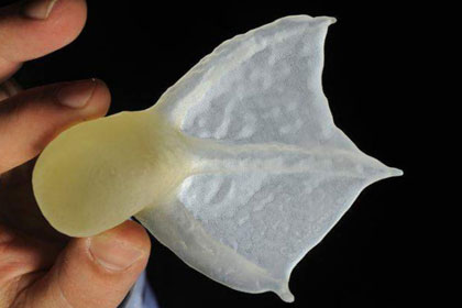 Новая лапа для птицы с 3D-принтера